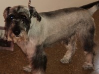 /album/fotos/de-todo-046-jpg/